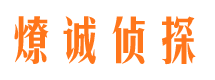 离石调查公司